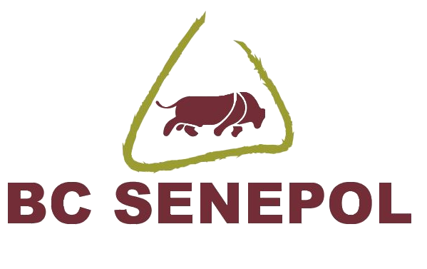 Senepol das Geraes - O maior grupo de vendedores de Senepol de Minas Gerais